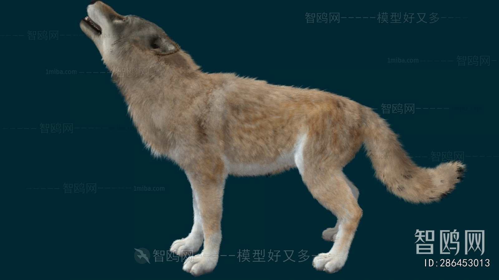 Modern Animal