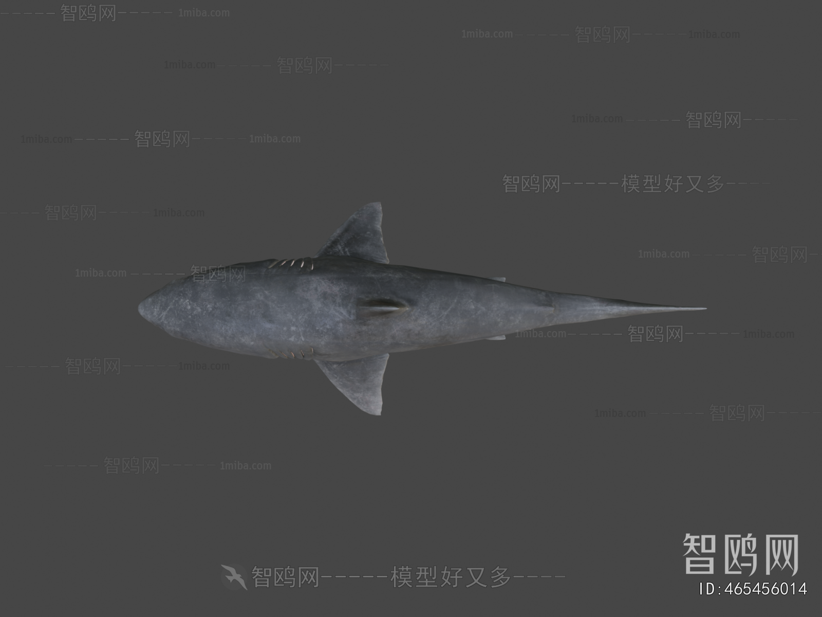 Modern Aquatic Animals