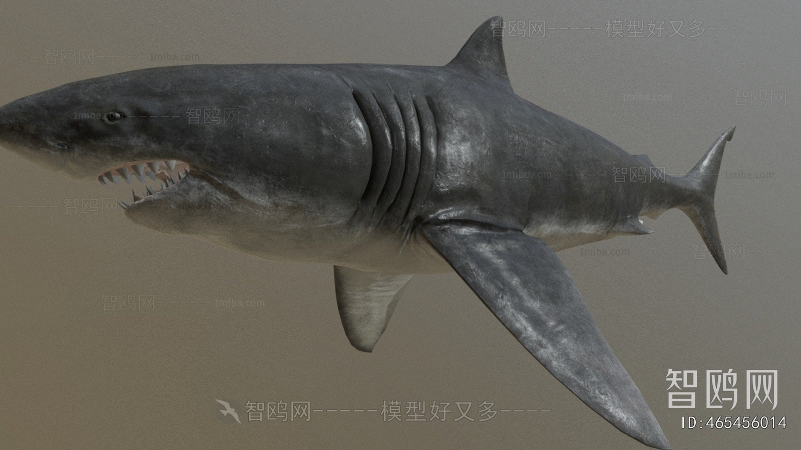 Modern Aquatic Animals