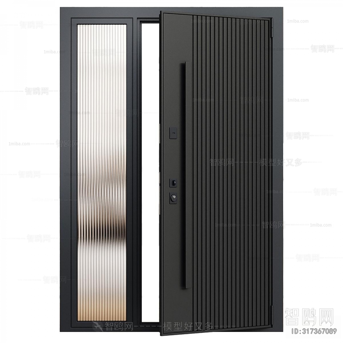 Modern Entrance Door