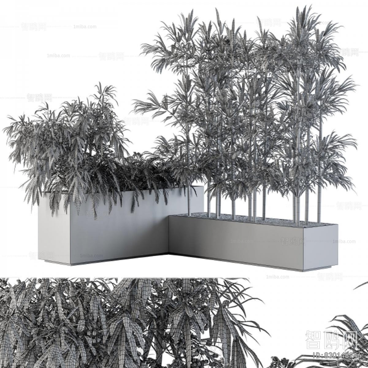 Modern Shrubbery