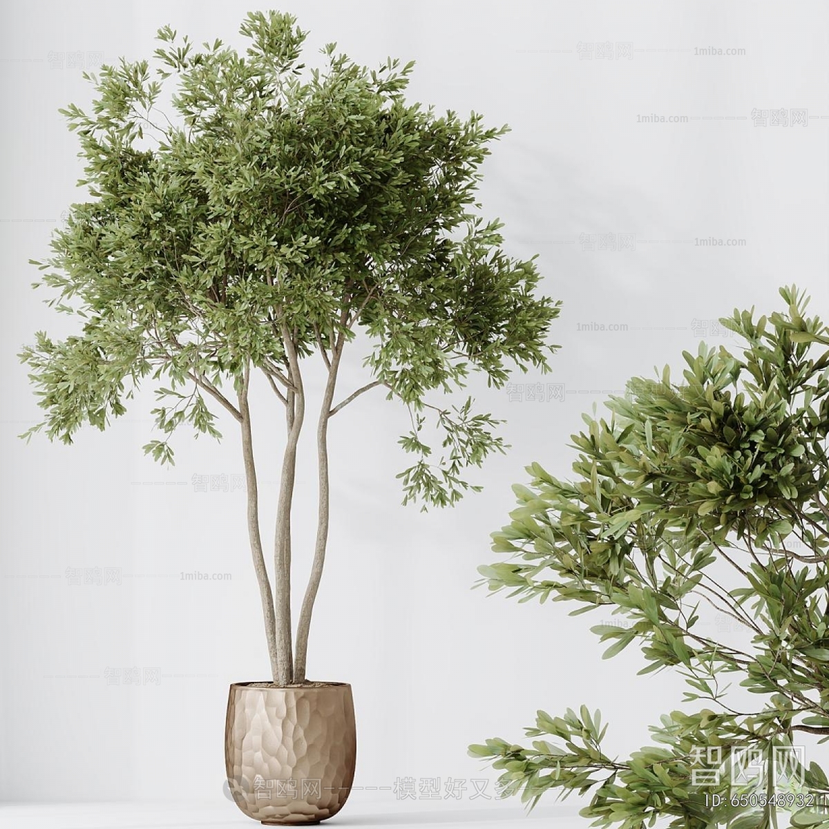 Modern Ground Green Plant Potted Plants