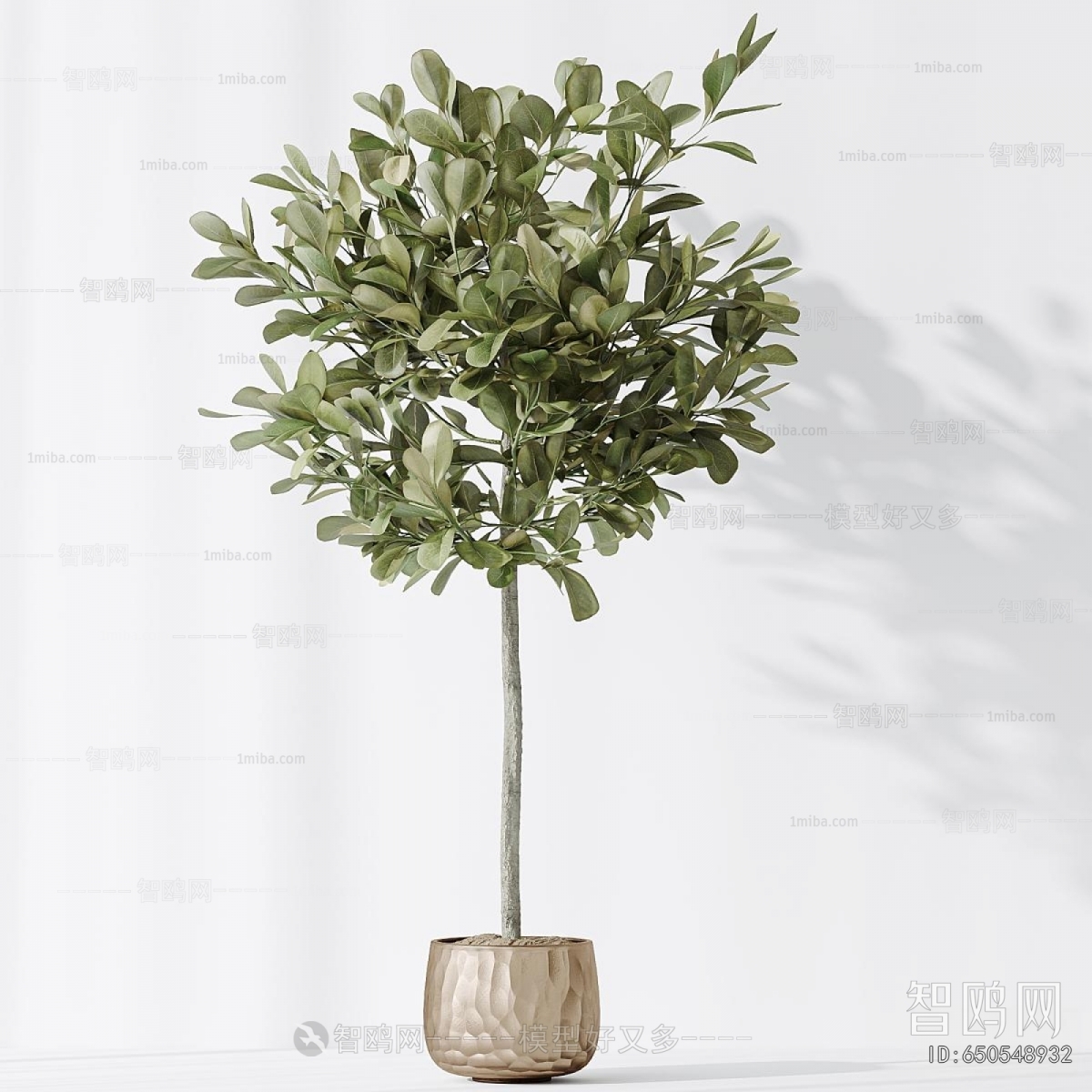 Modern Ground Green Plant Potted Plants