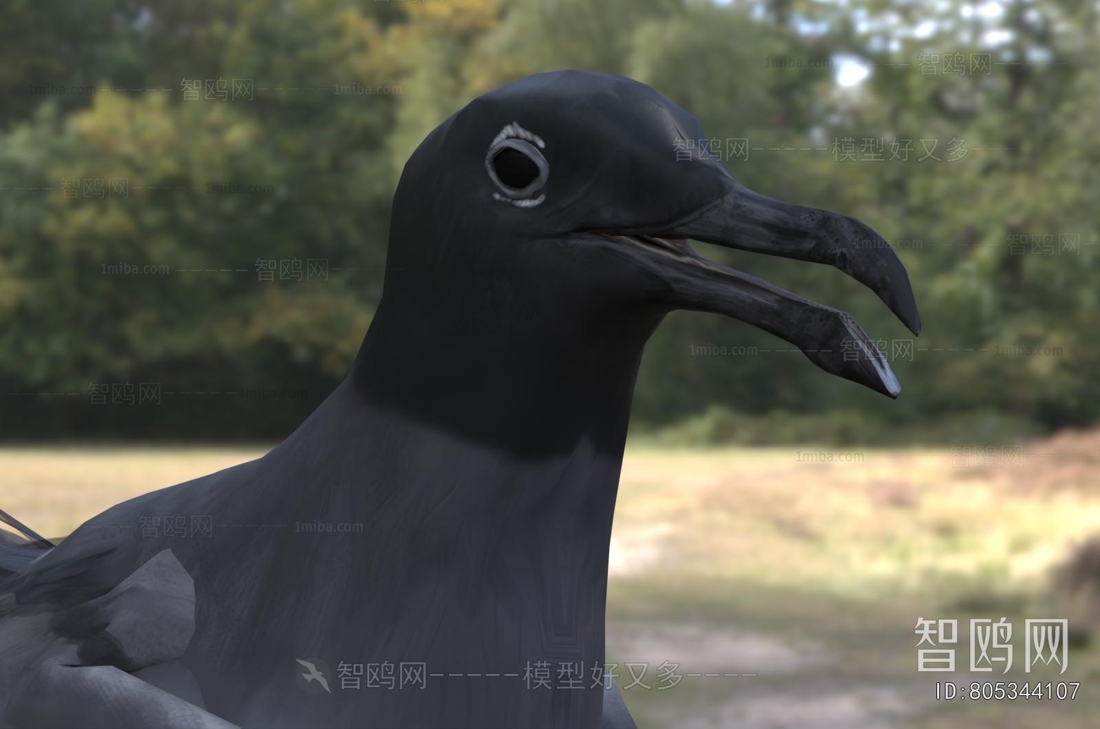 Modern Flying Animals
