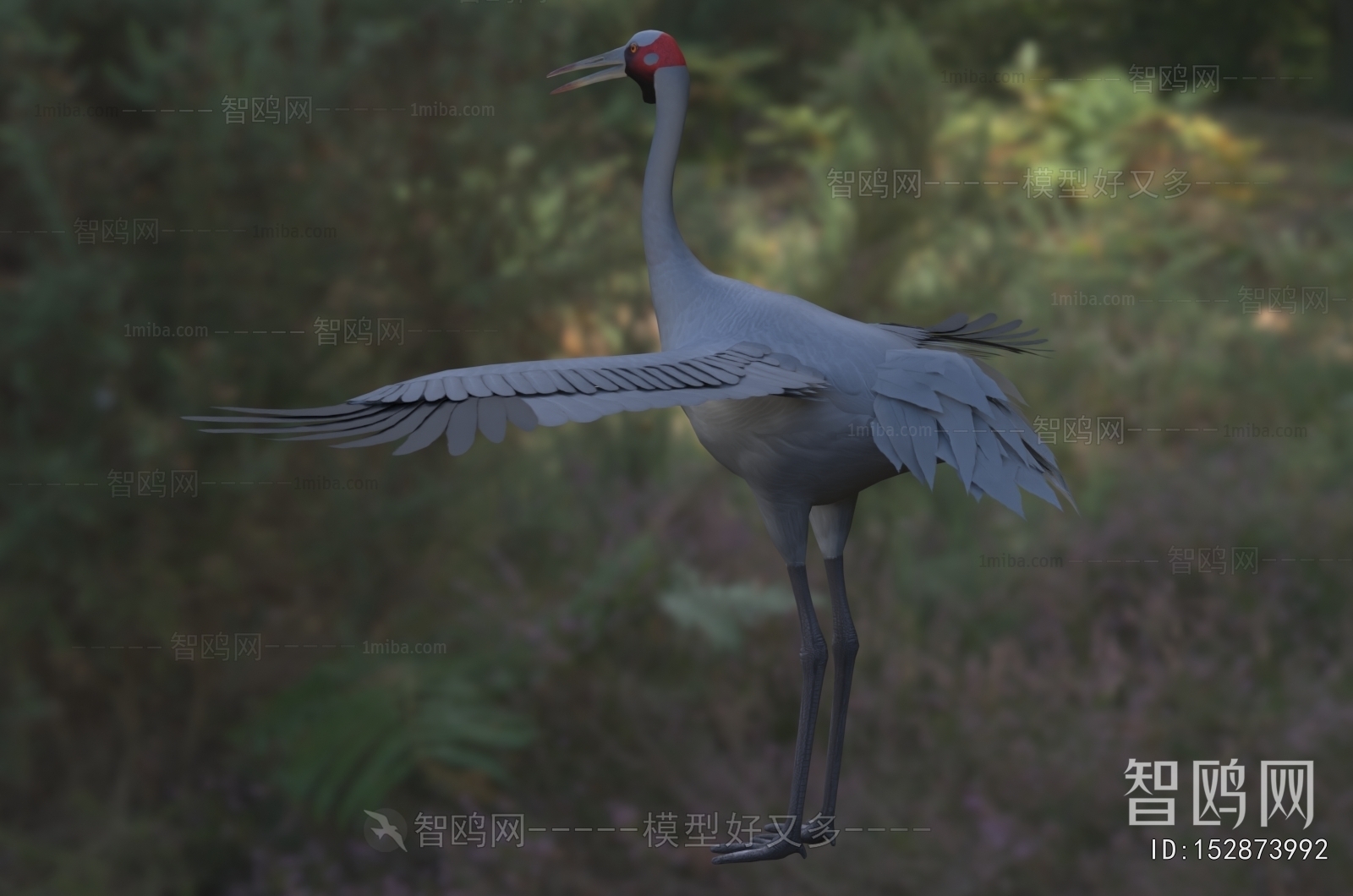 Modern Flying Animals