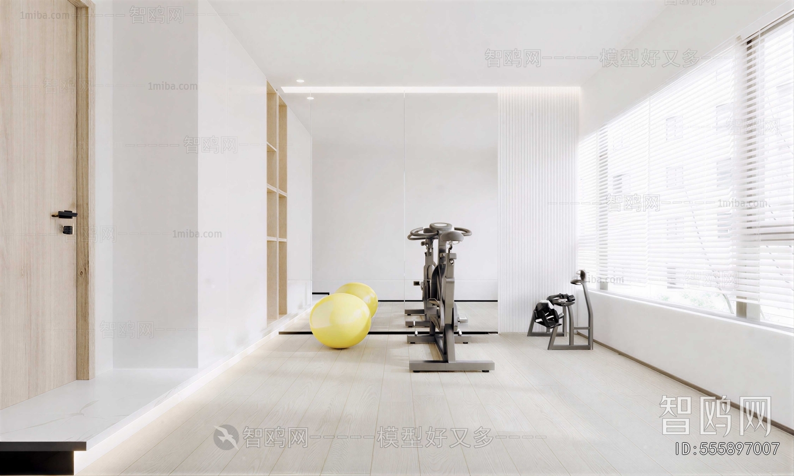 Modern Home Fitness Room
