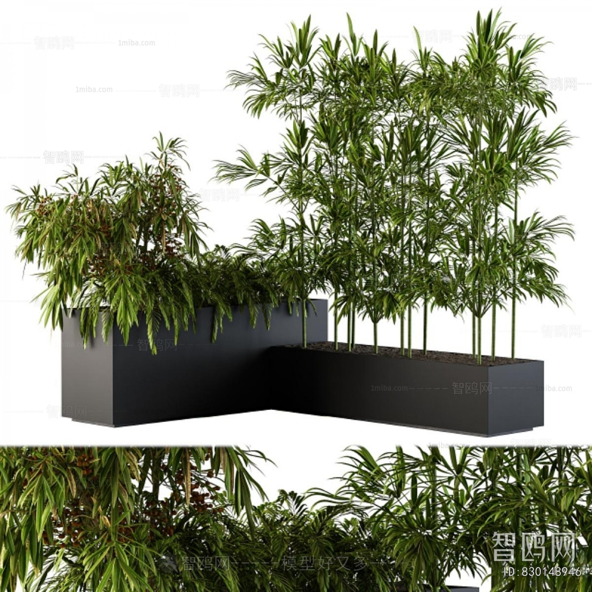 Modern Shrubbery