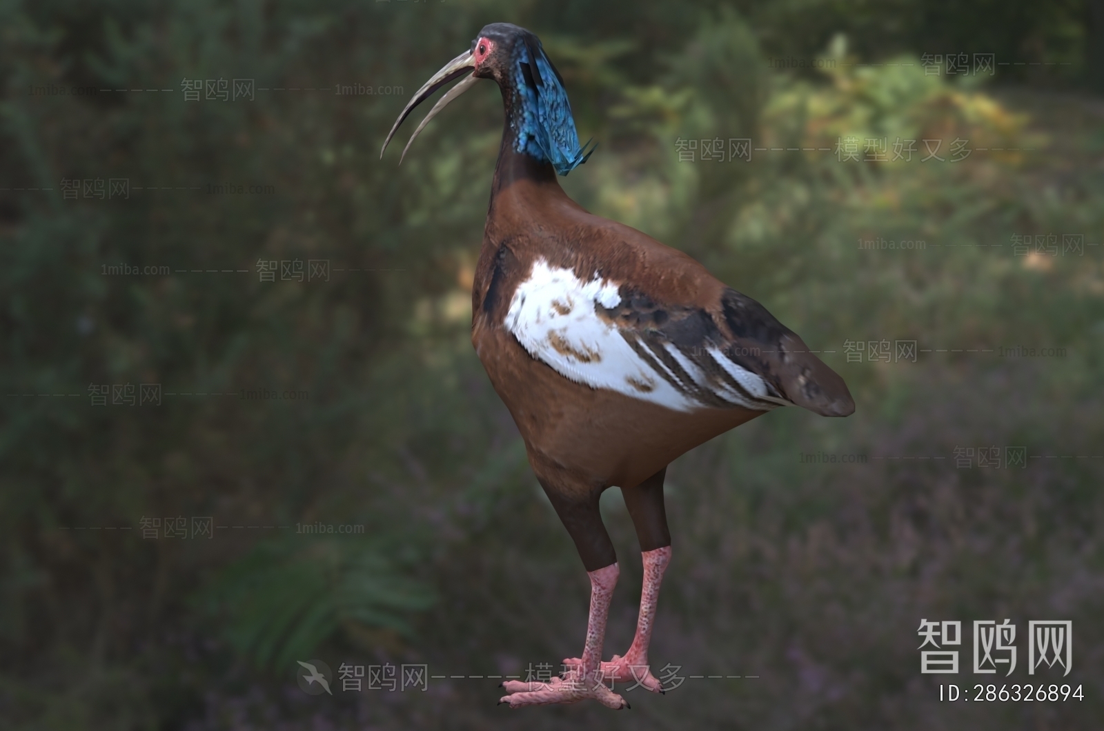 Modern Flying Animals