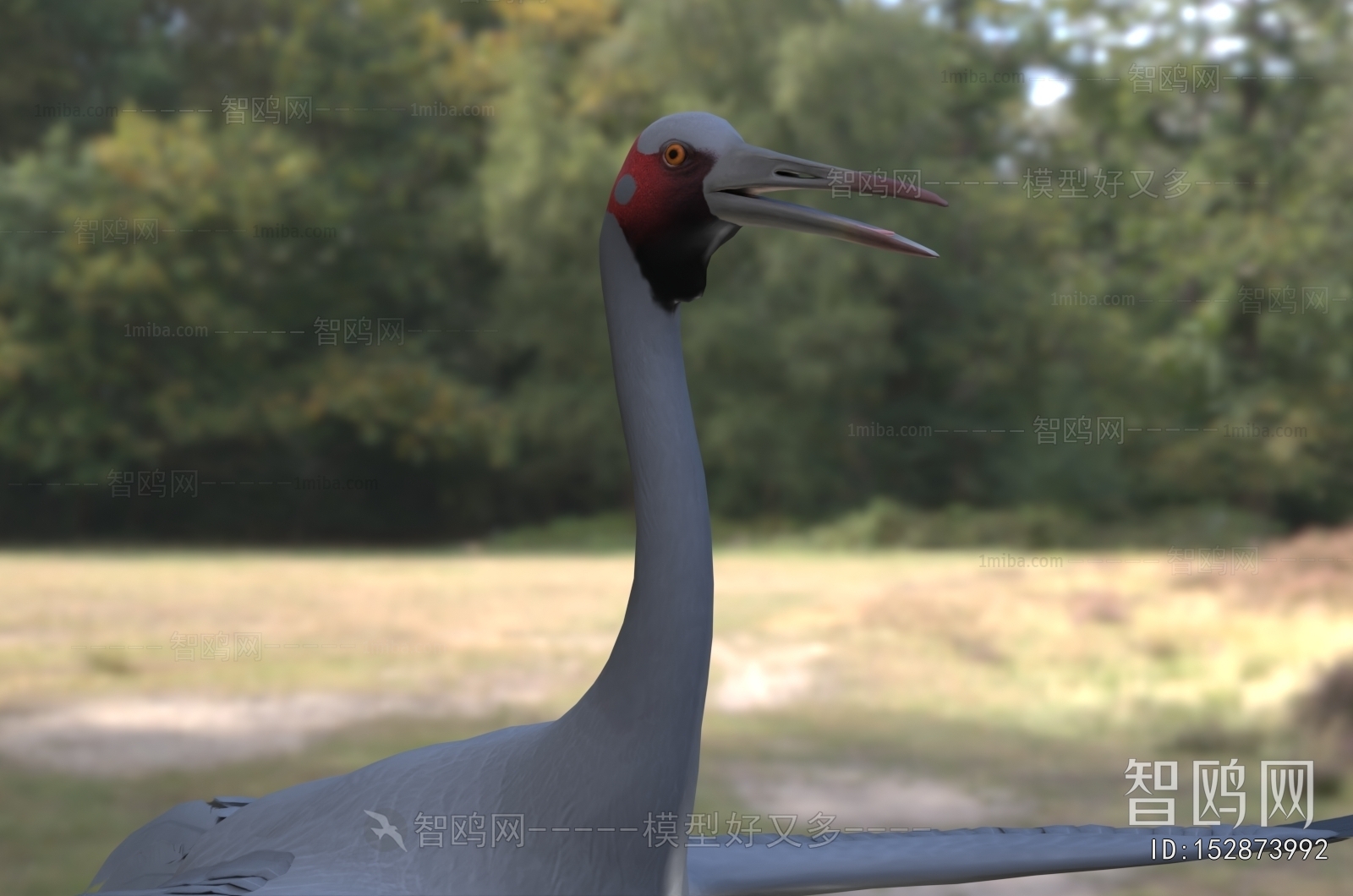 Modern Flying Animals