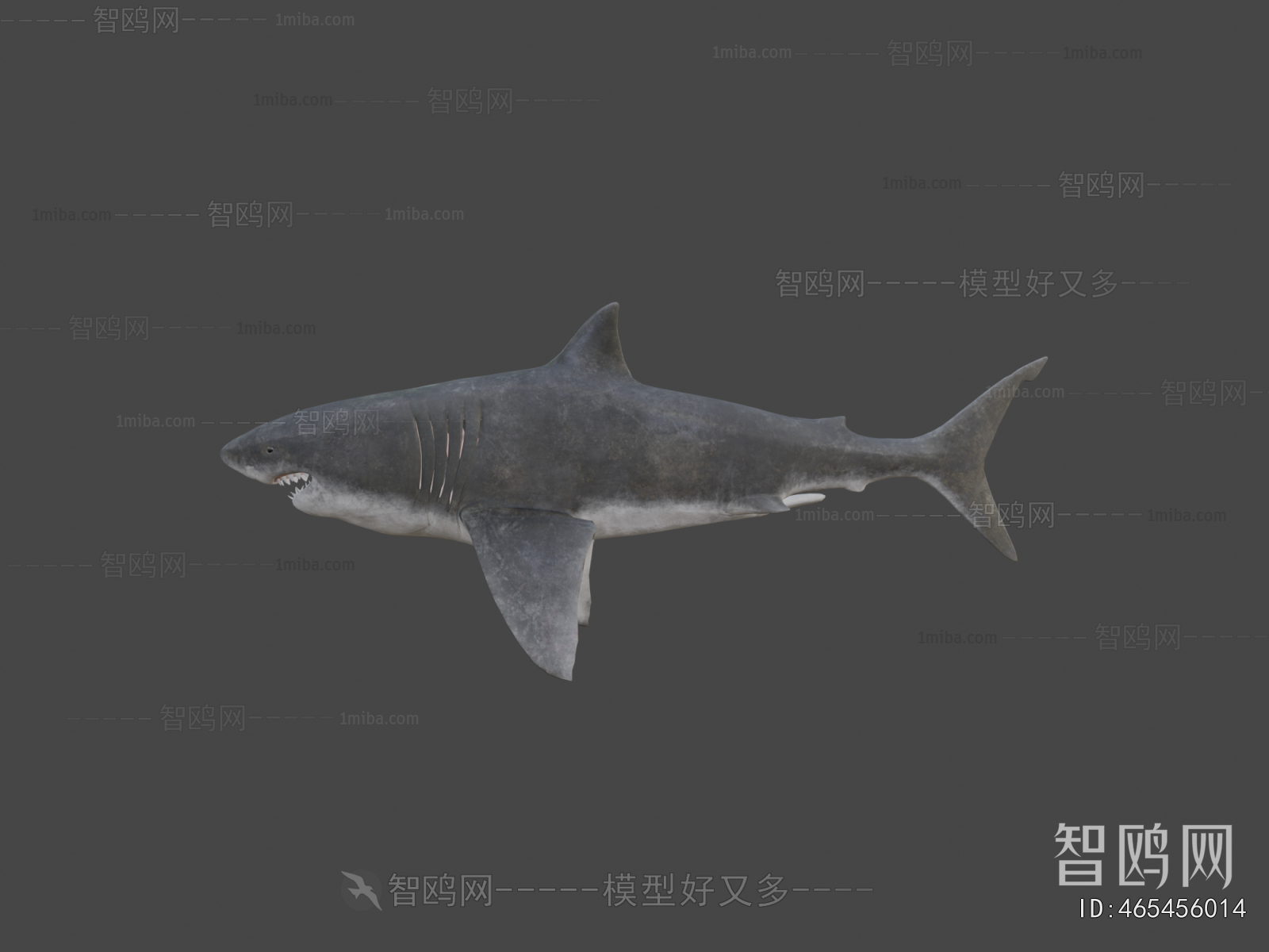 Modern Aquatic Animals