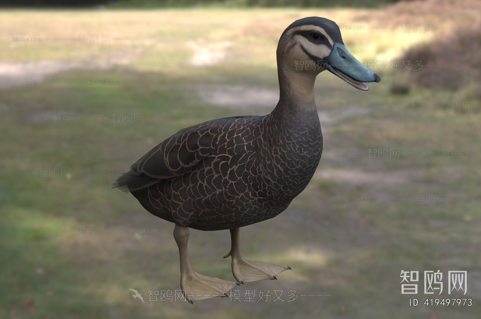 Modern Poultry Animal