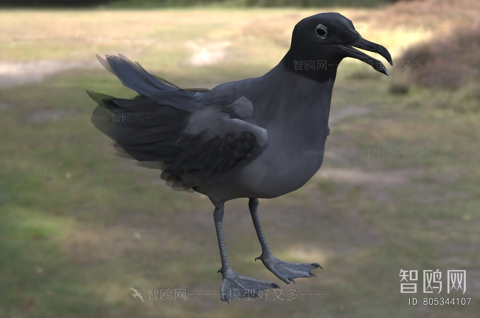 Modern Flying Animals