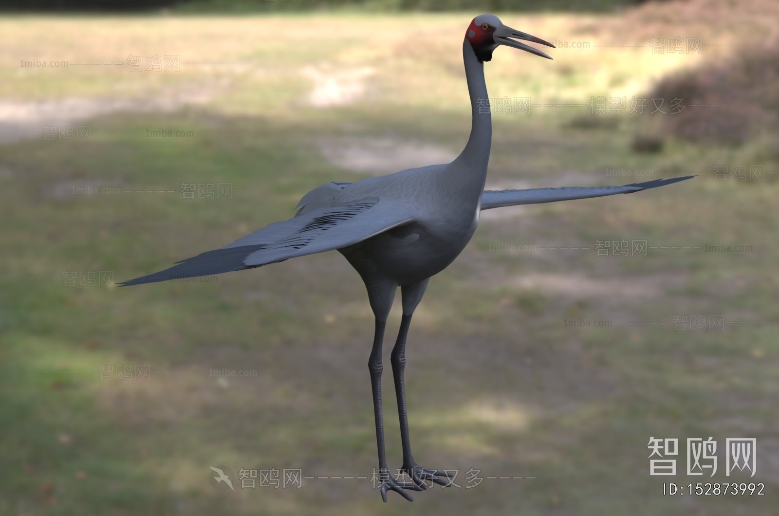 Modern Flying Animals