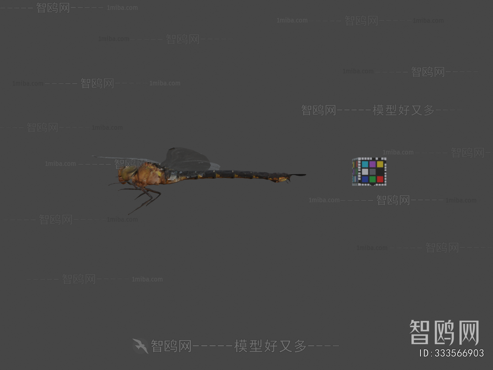 Modern Flying Animals