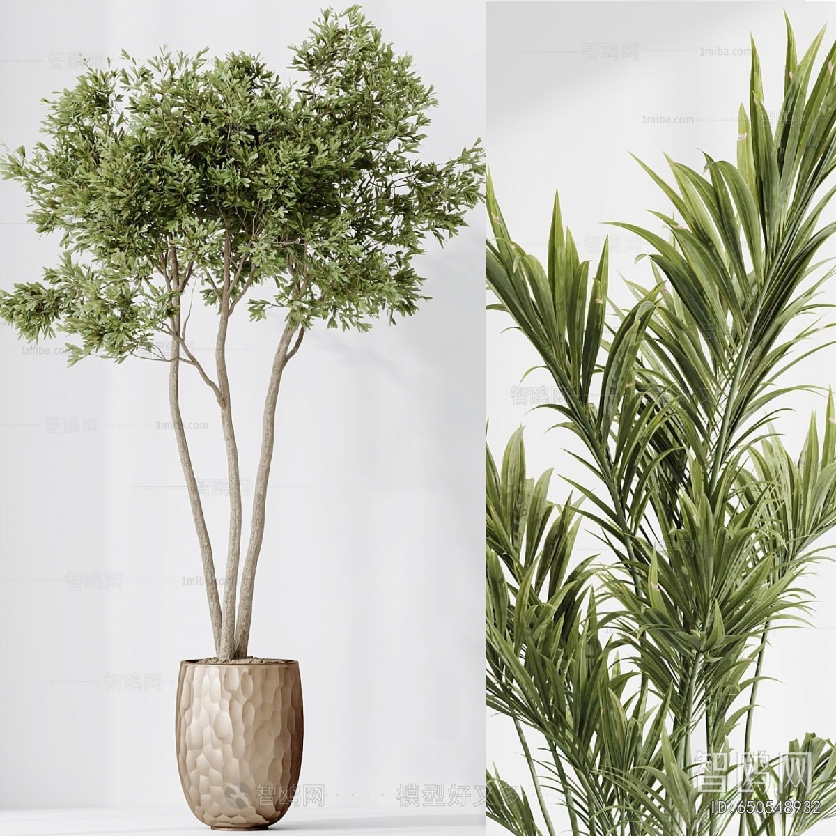 Modern Ground Green Plant Potted Plants