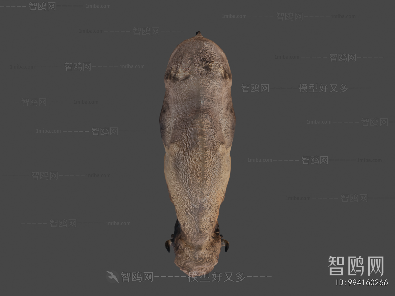 Modern Mammal