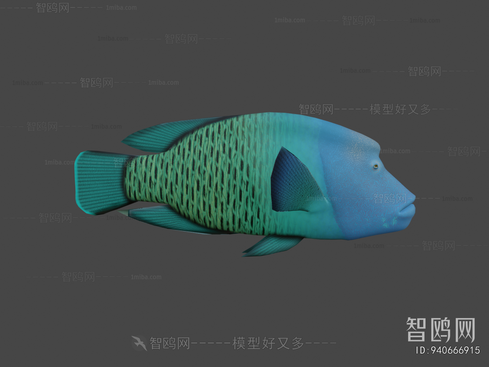Modern Animal