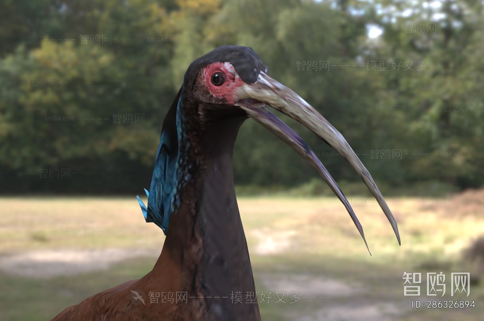Modern Flying Animals