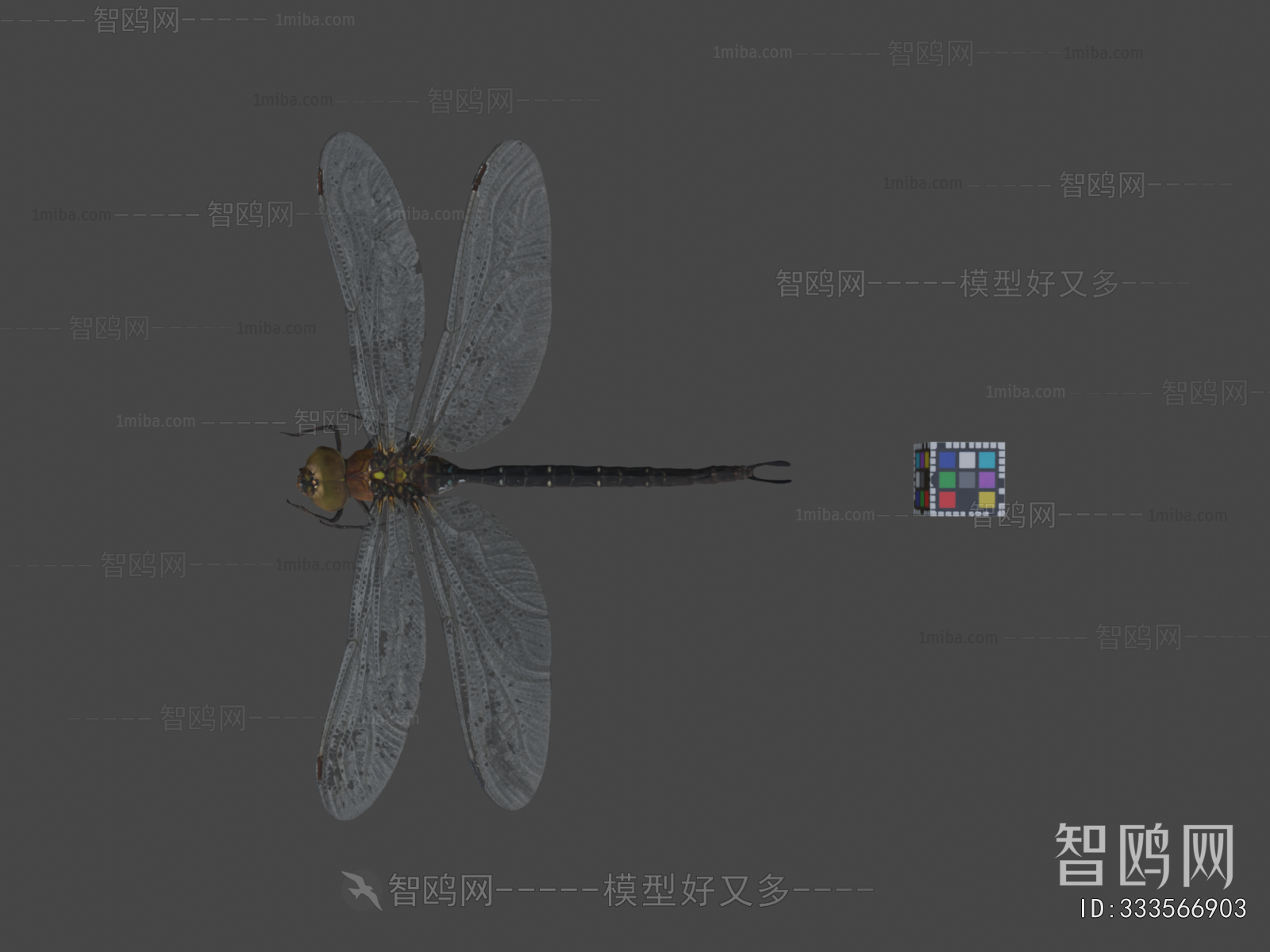 Modern Flying Animals