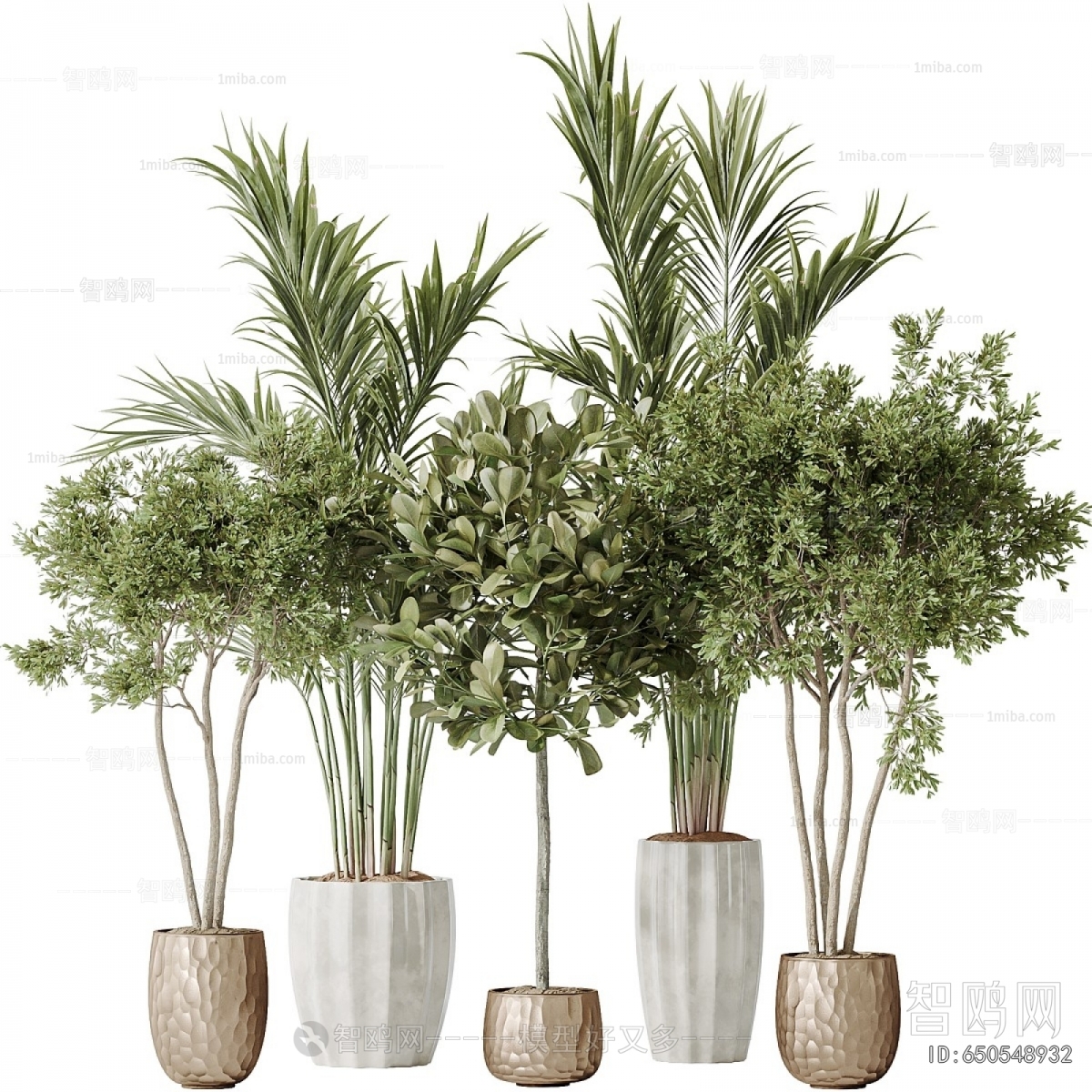 Modern Ground Green Plant Potted Plants