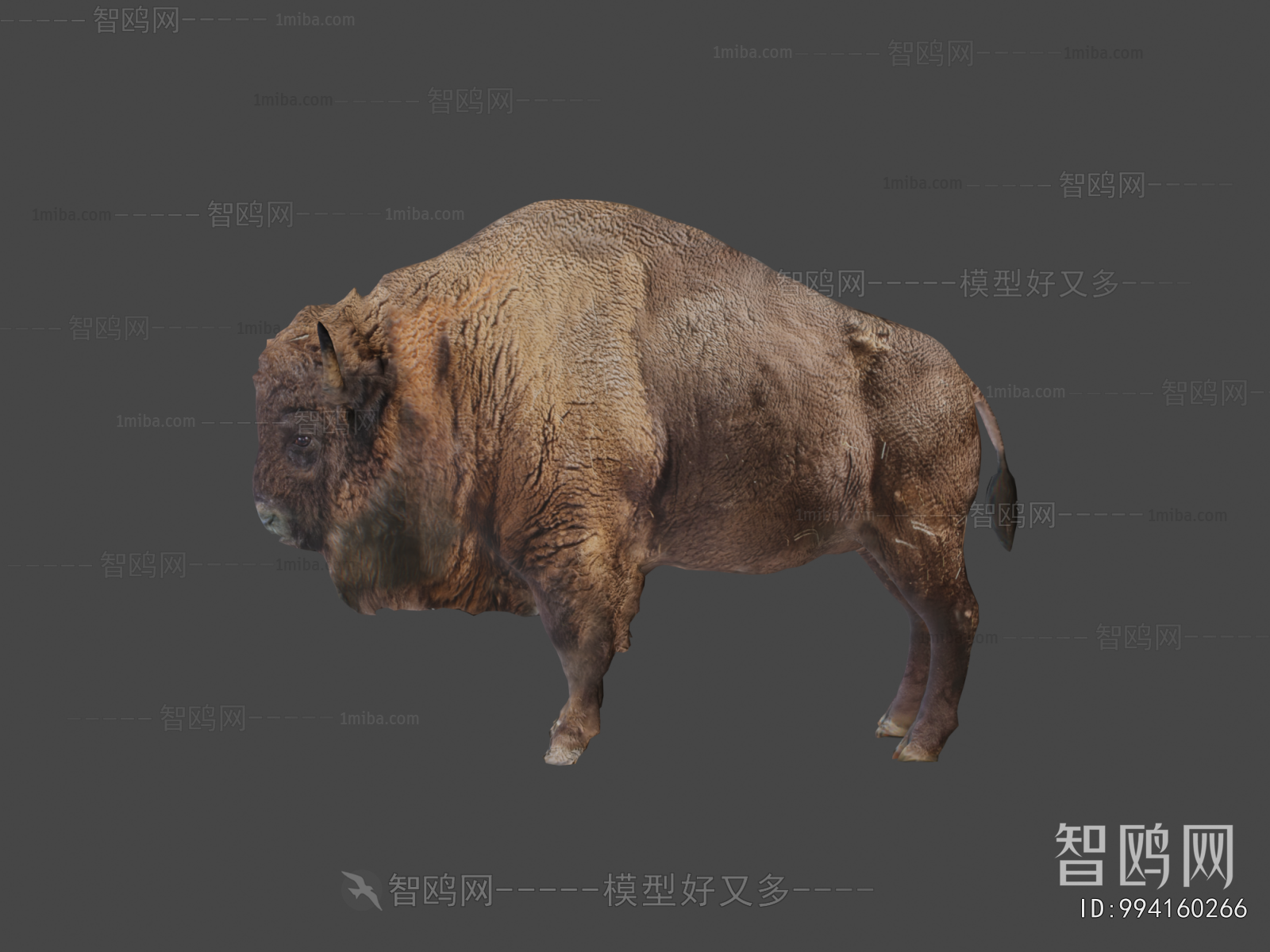 Modern Mammal