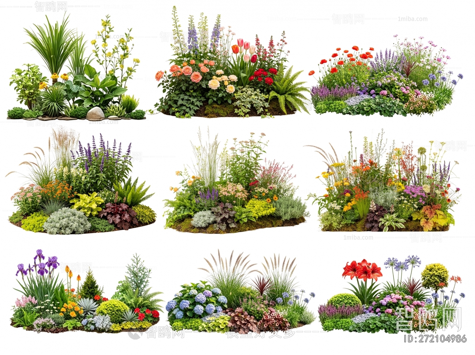 Modern Flowers And Grass