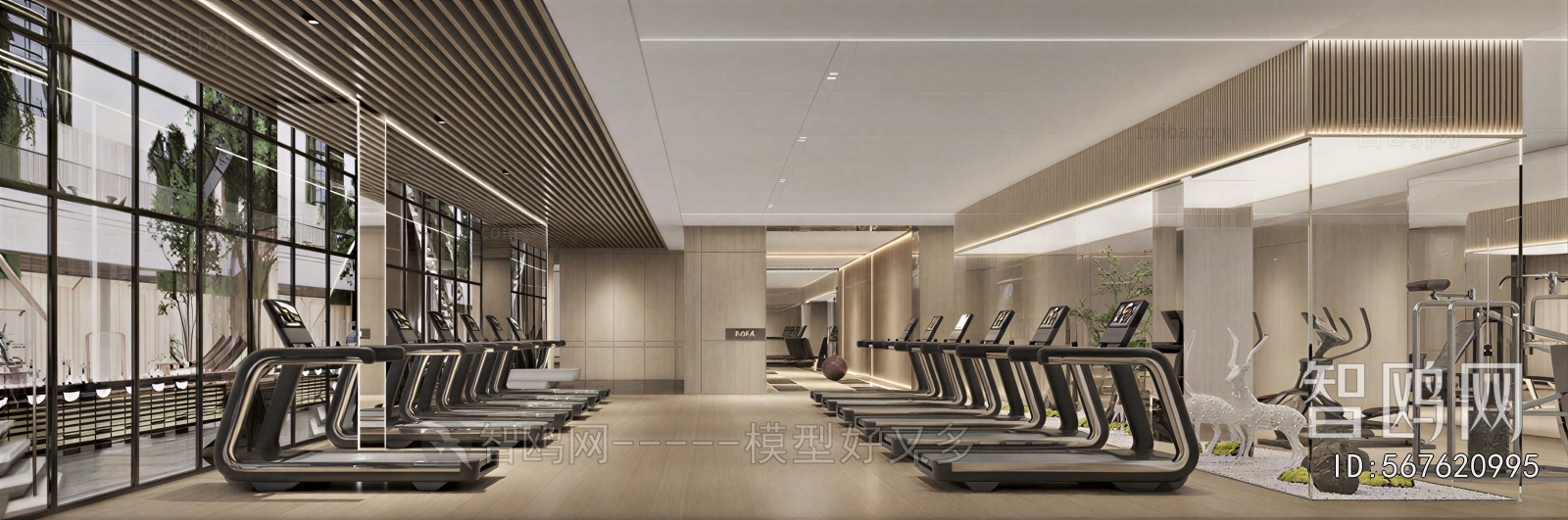 Modern Gym