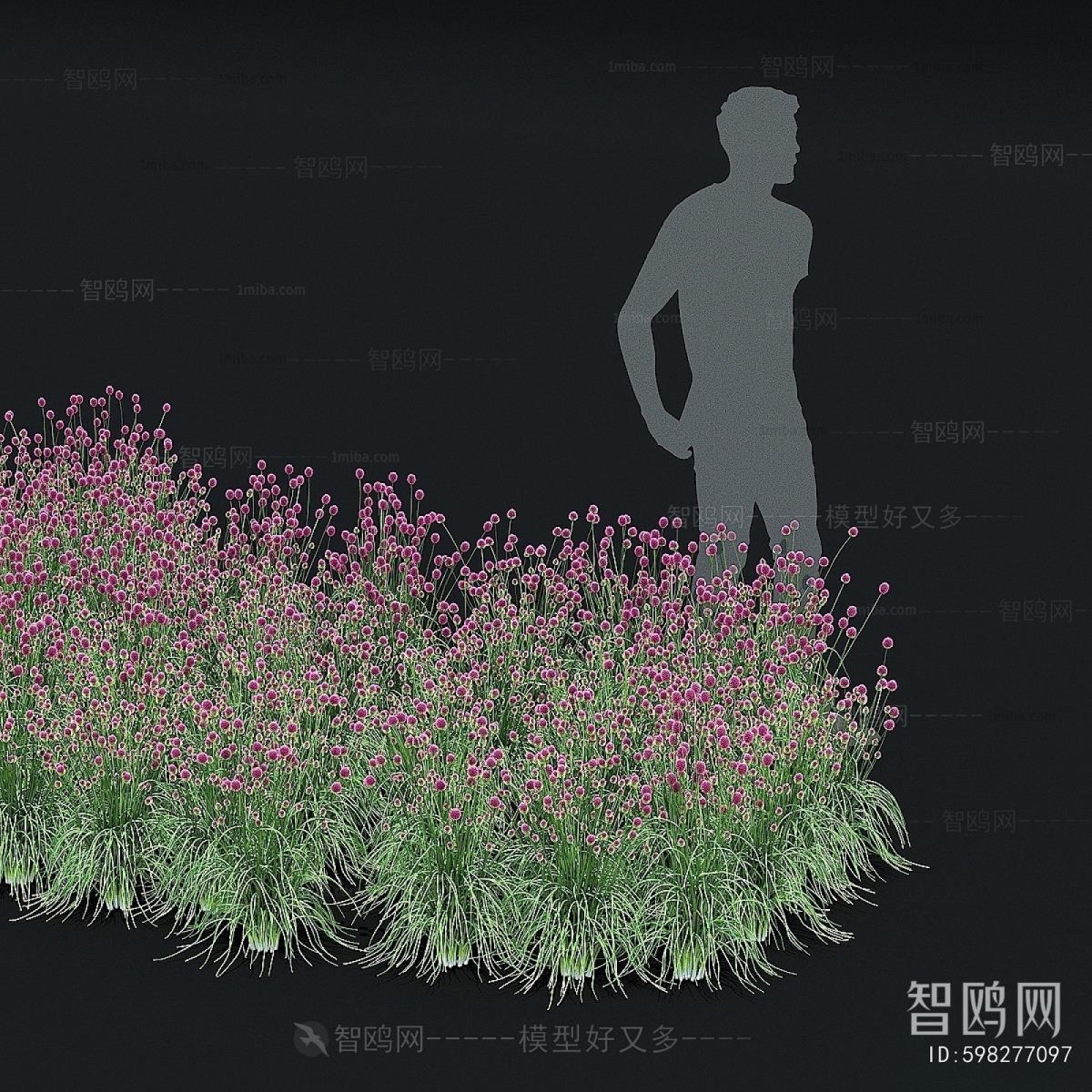 Modern Flowers And Grass