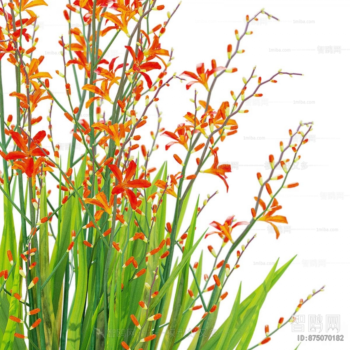 Modern Flowers And Grass