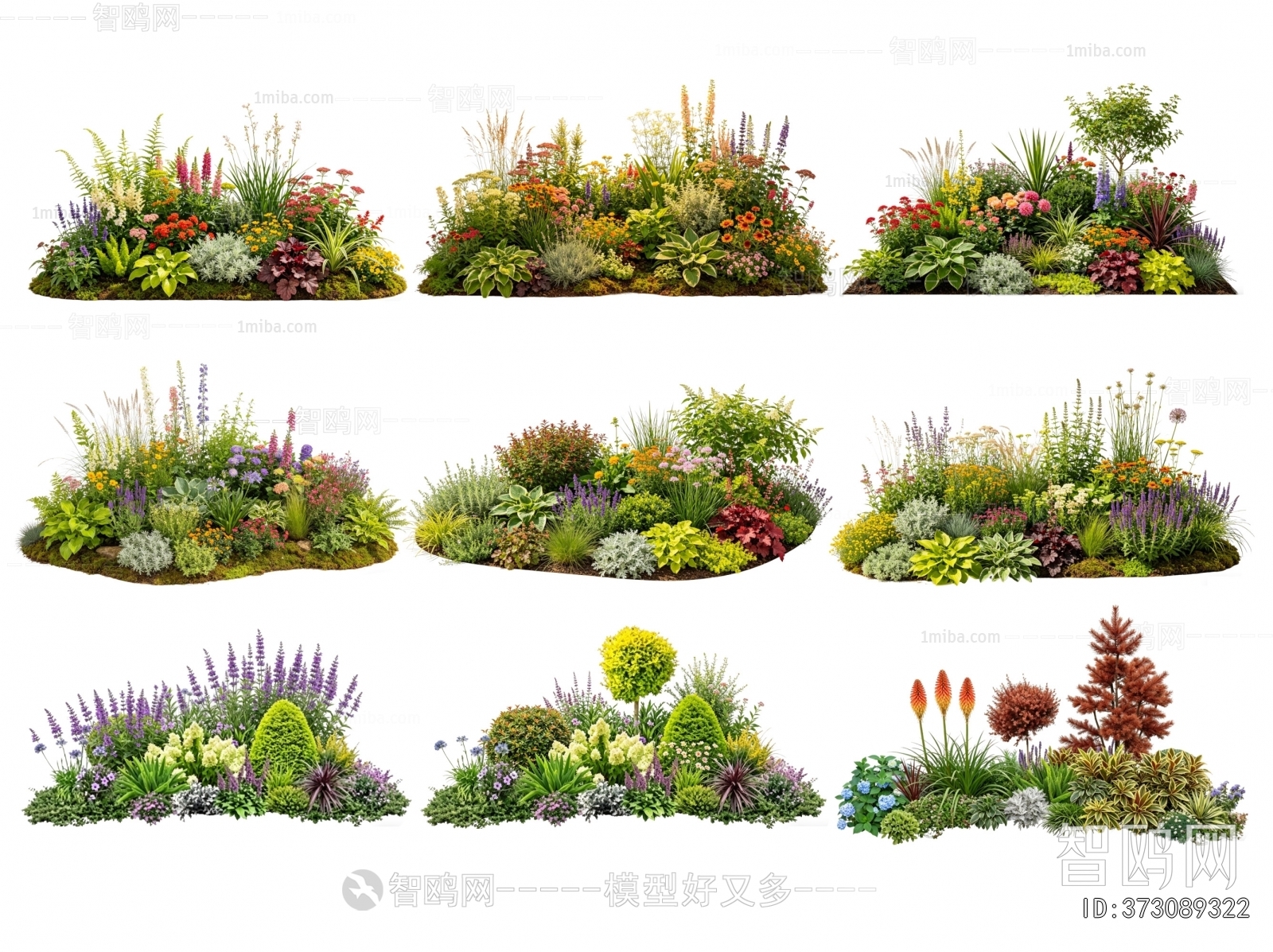 Modern Flowers And Grass
