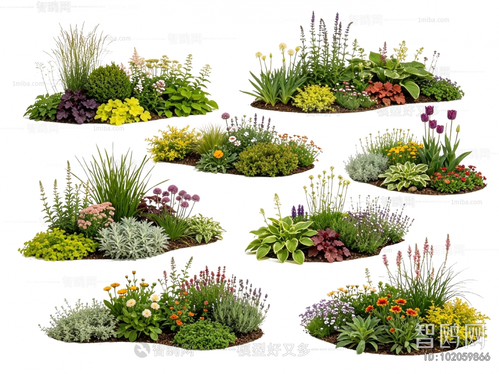 Modern Flowers And Grass