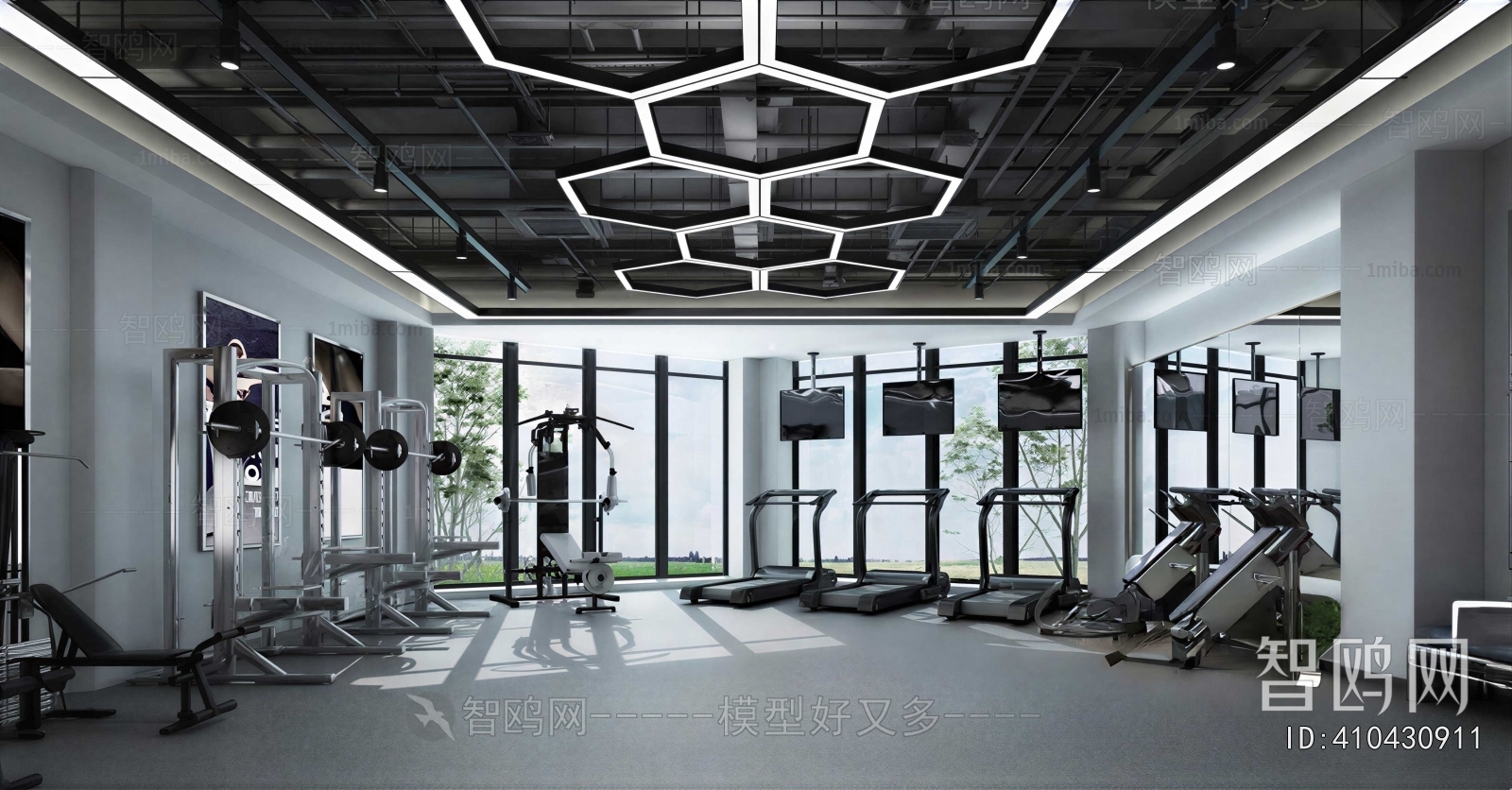 Modern Gym