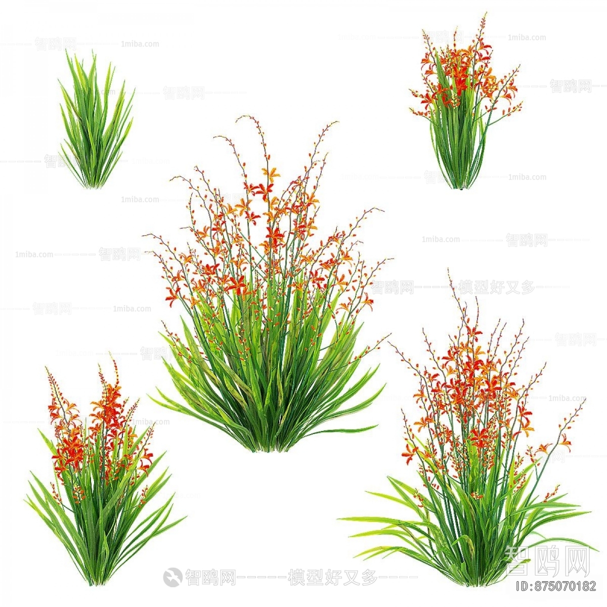 Modern Flowers And Grass