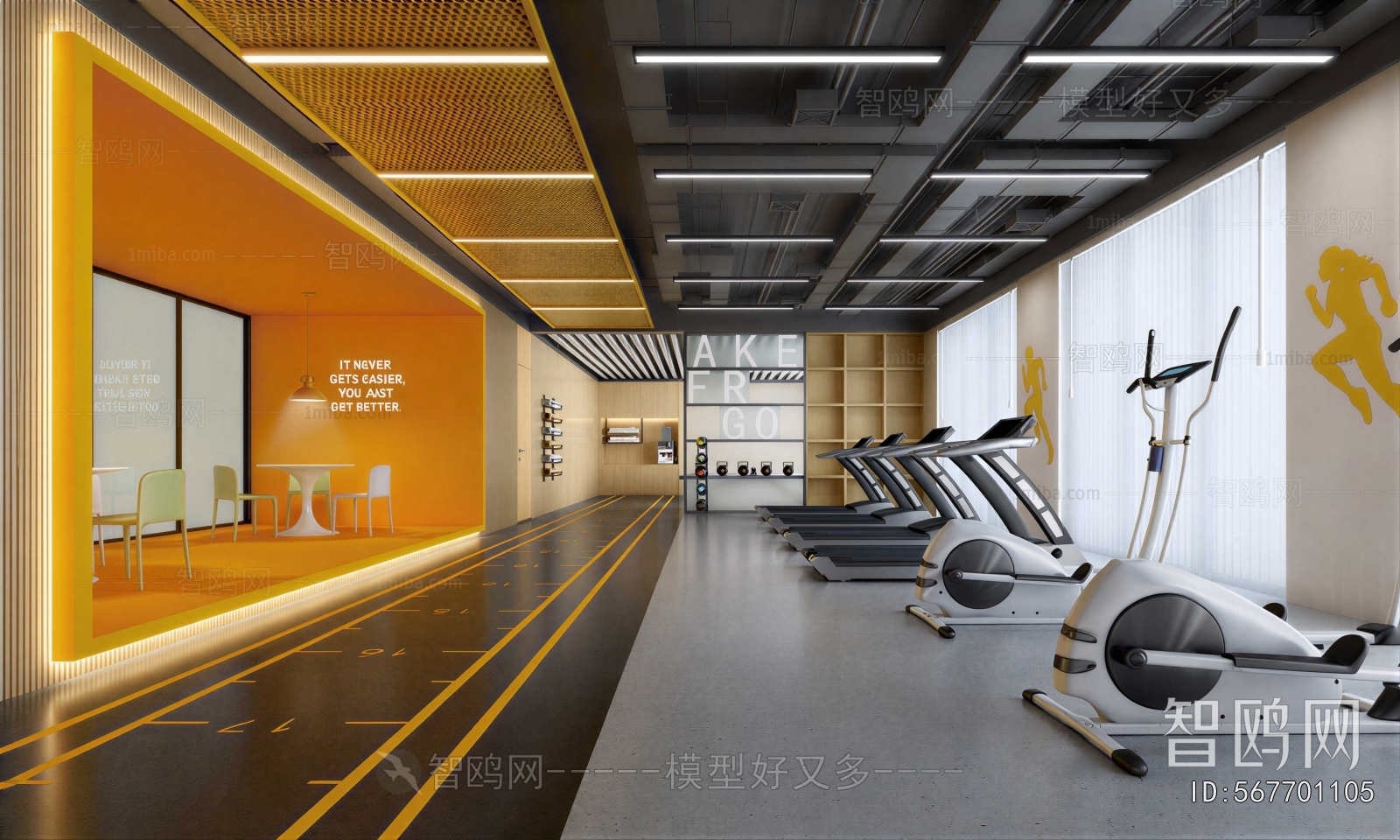 Modern Gym