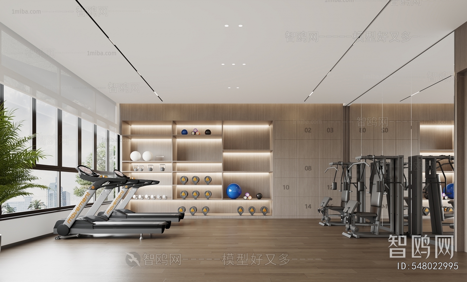 Modern Gym