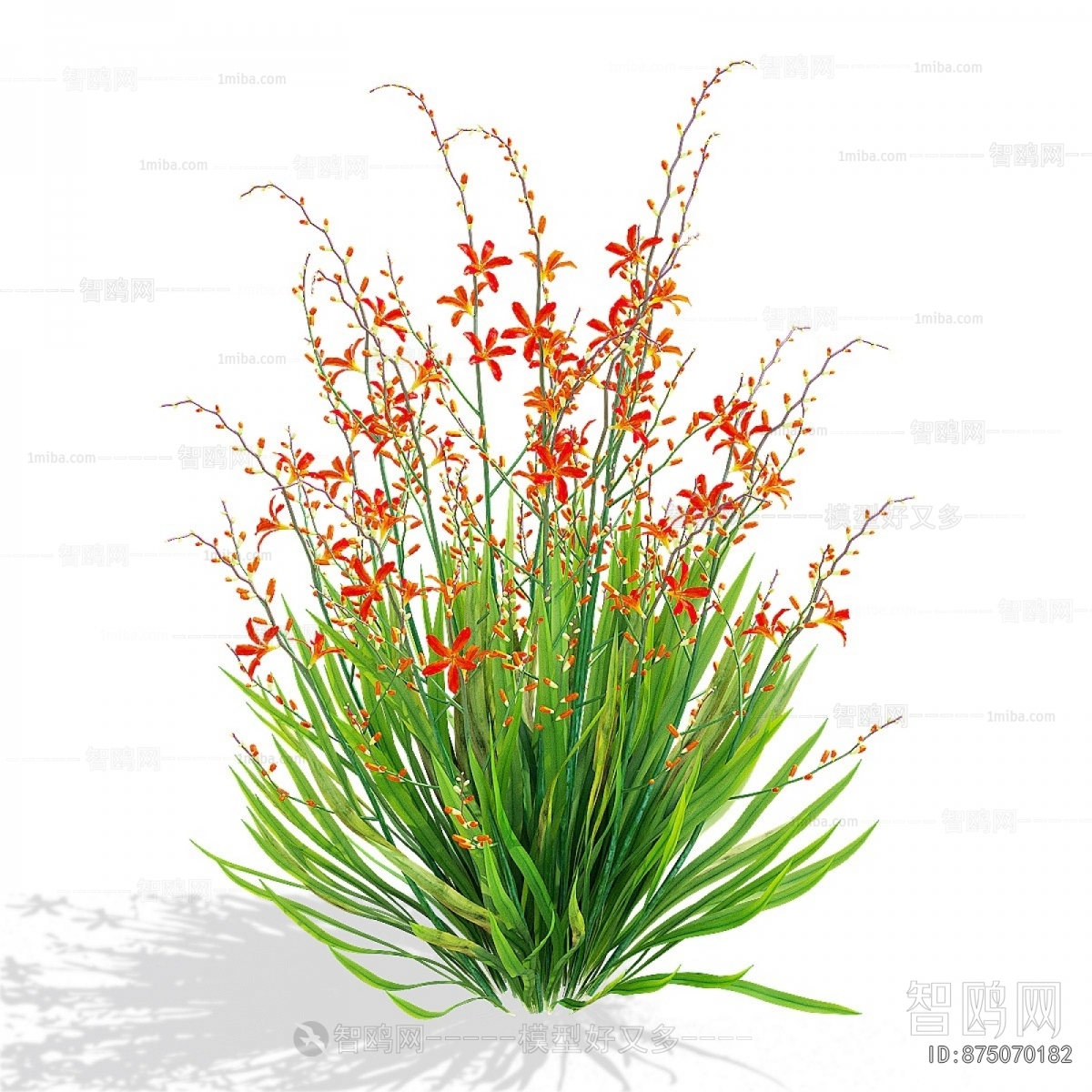 Modern Flowers And Grass