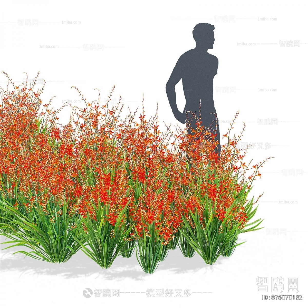 Modern Flowers And Grass