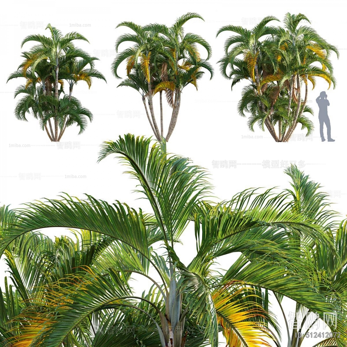 Modern Tree