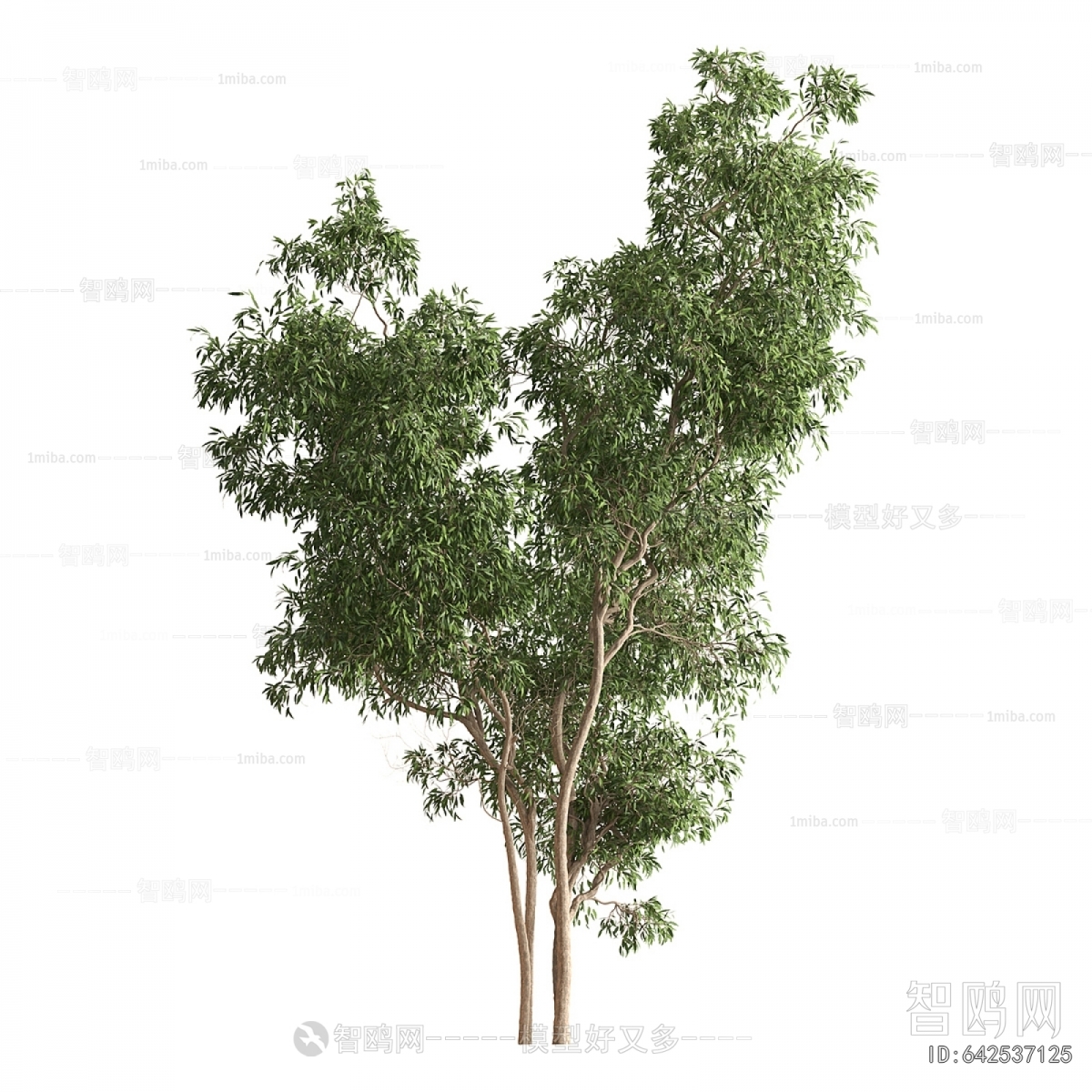 Modern Tree