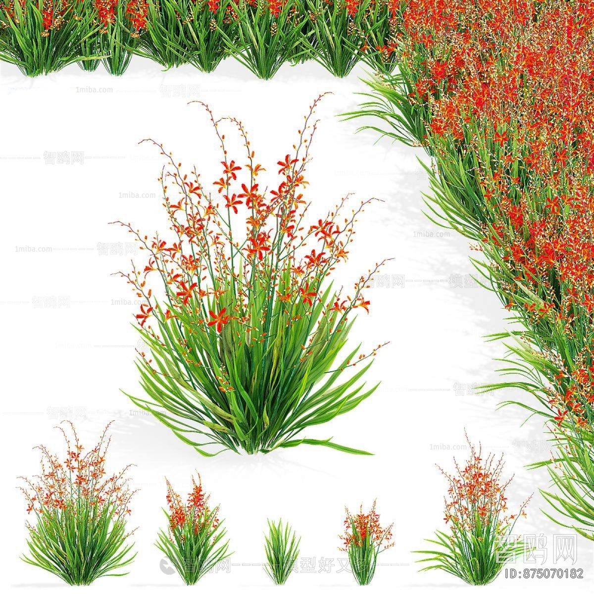 Modern Flowers And Grass