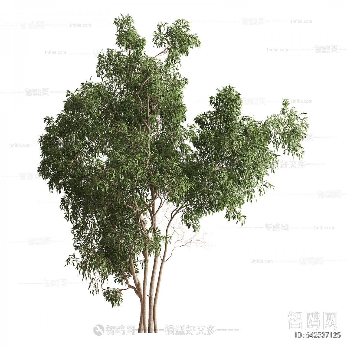 Modern Tree