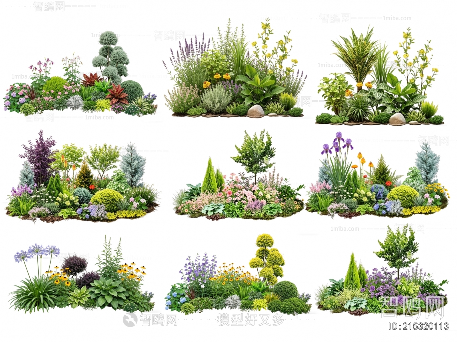 Modern Flowers And Grass