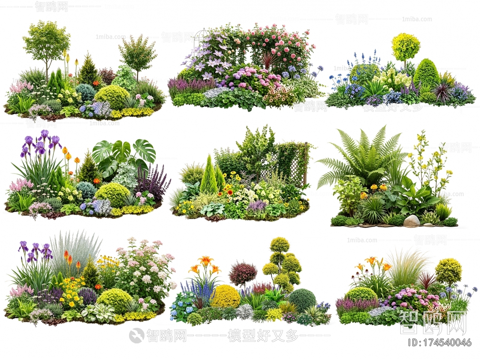 Modern Flowers And Grass