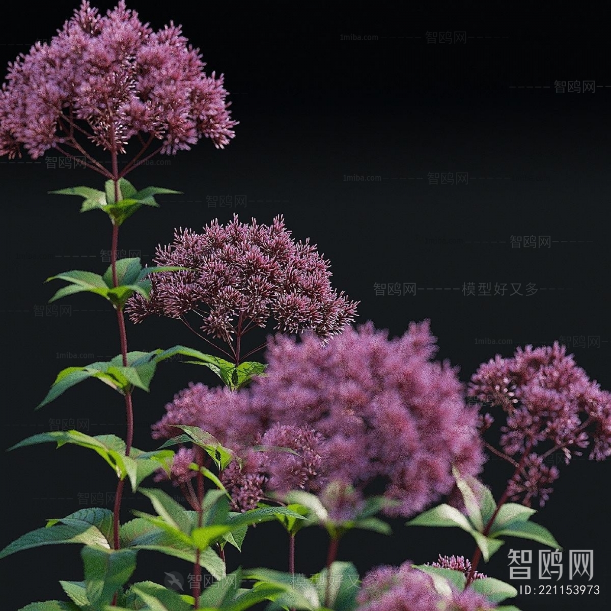 Modern Flowers And Grass