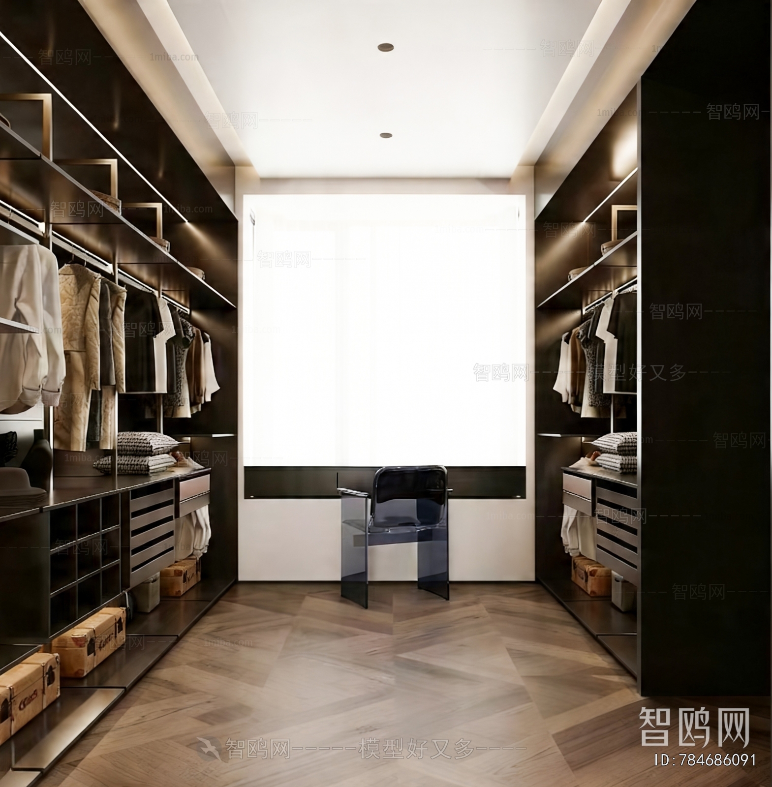 Modern Clothes Storage Area