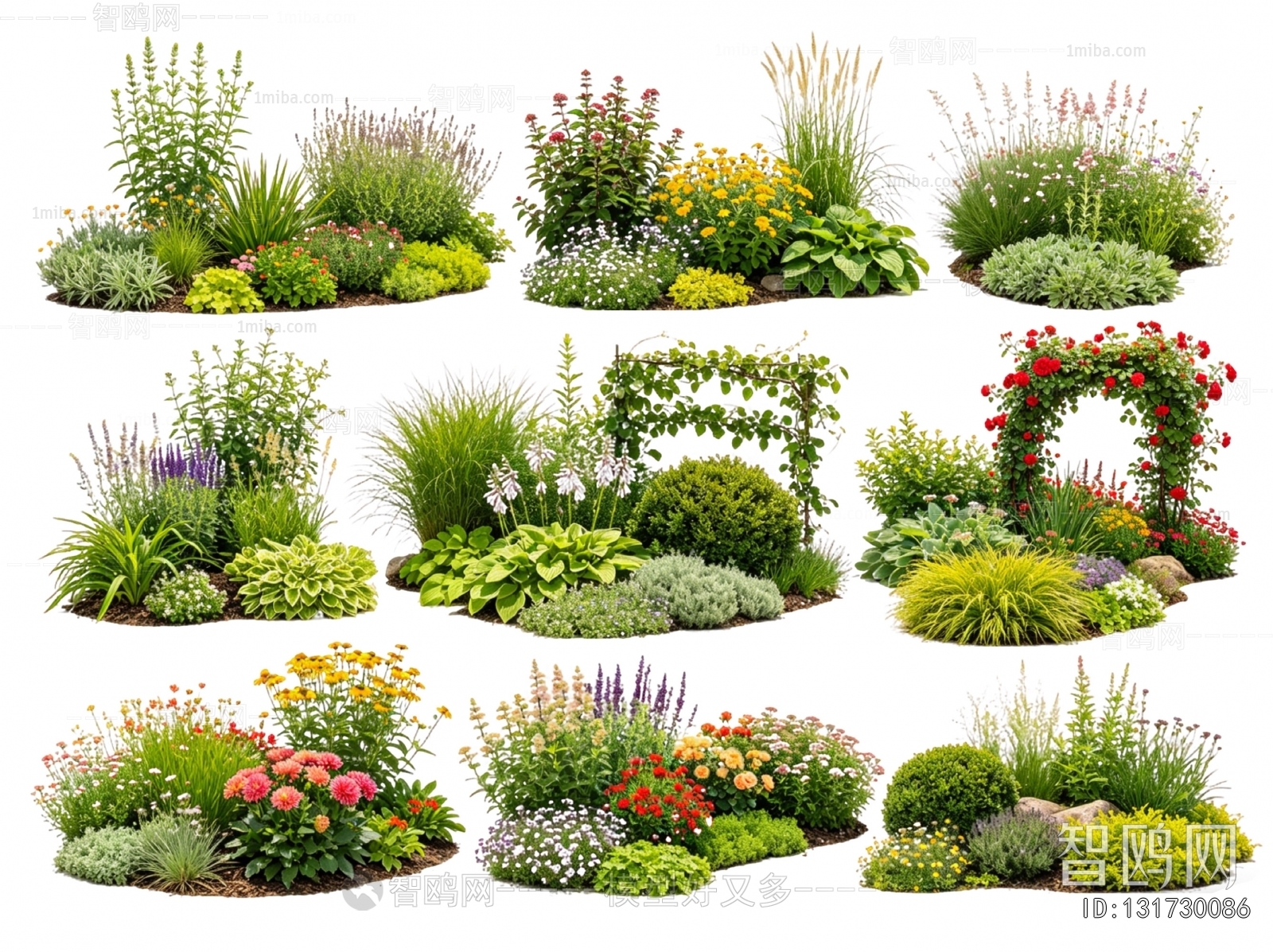 Modern Flowers And Grass