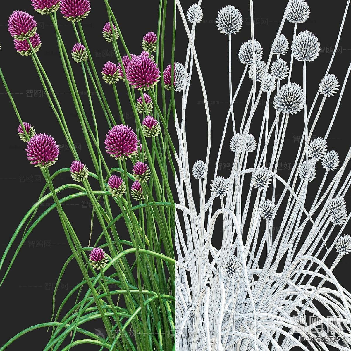 Modern Flowers And Grass