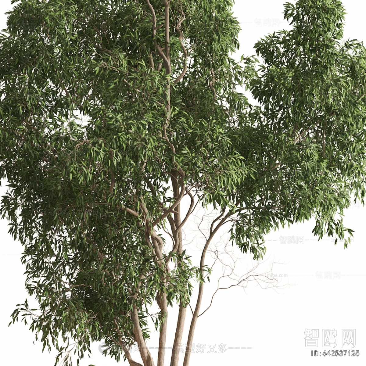 Modern Tree