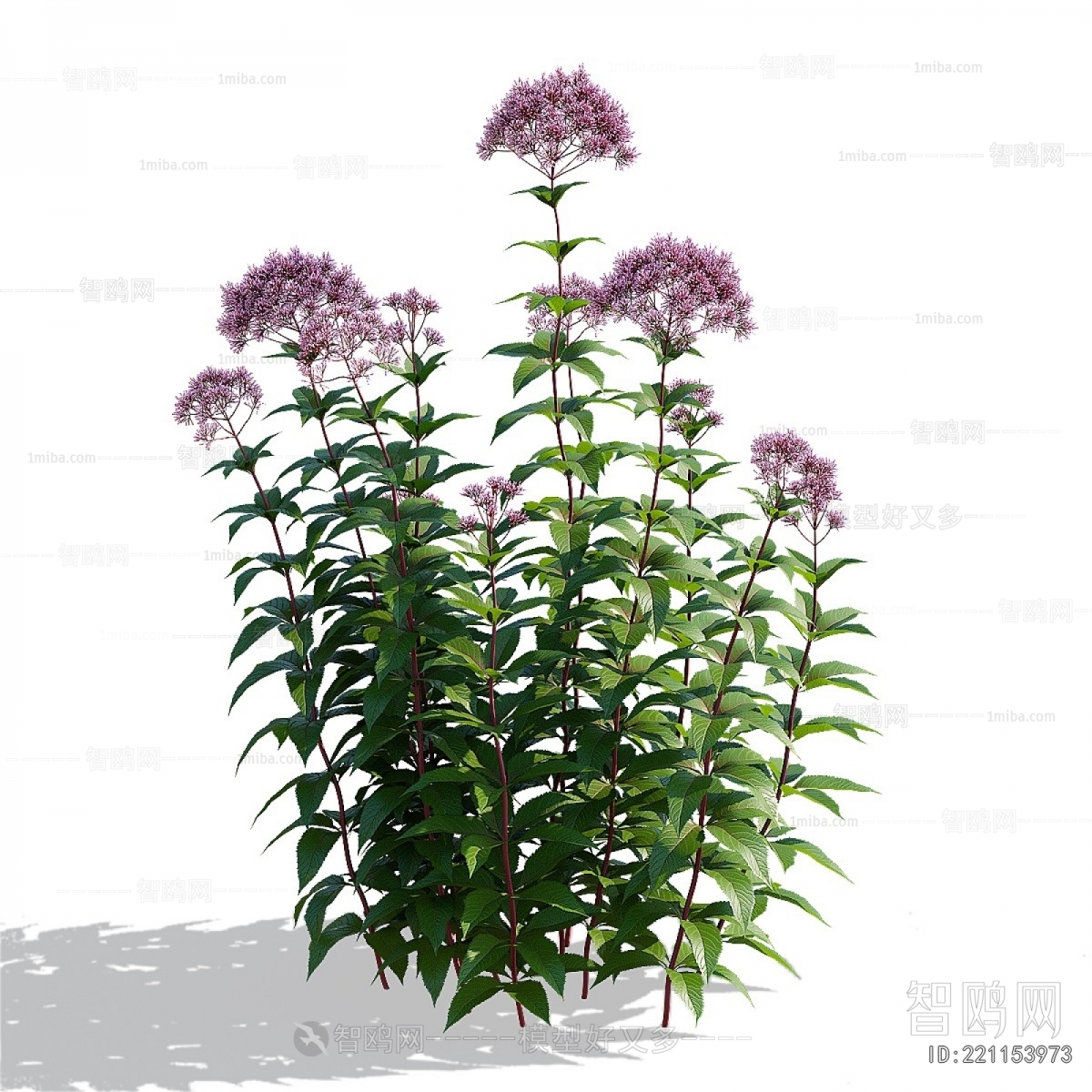 Modern Flowers And Grass