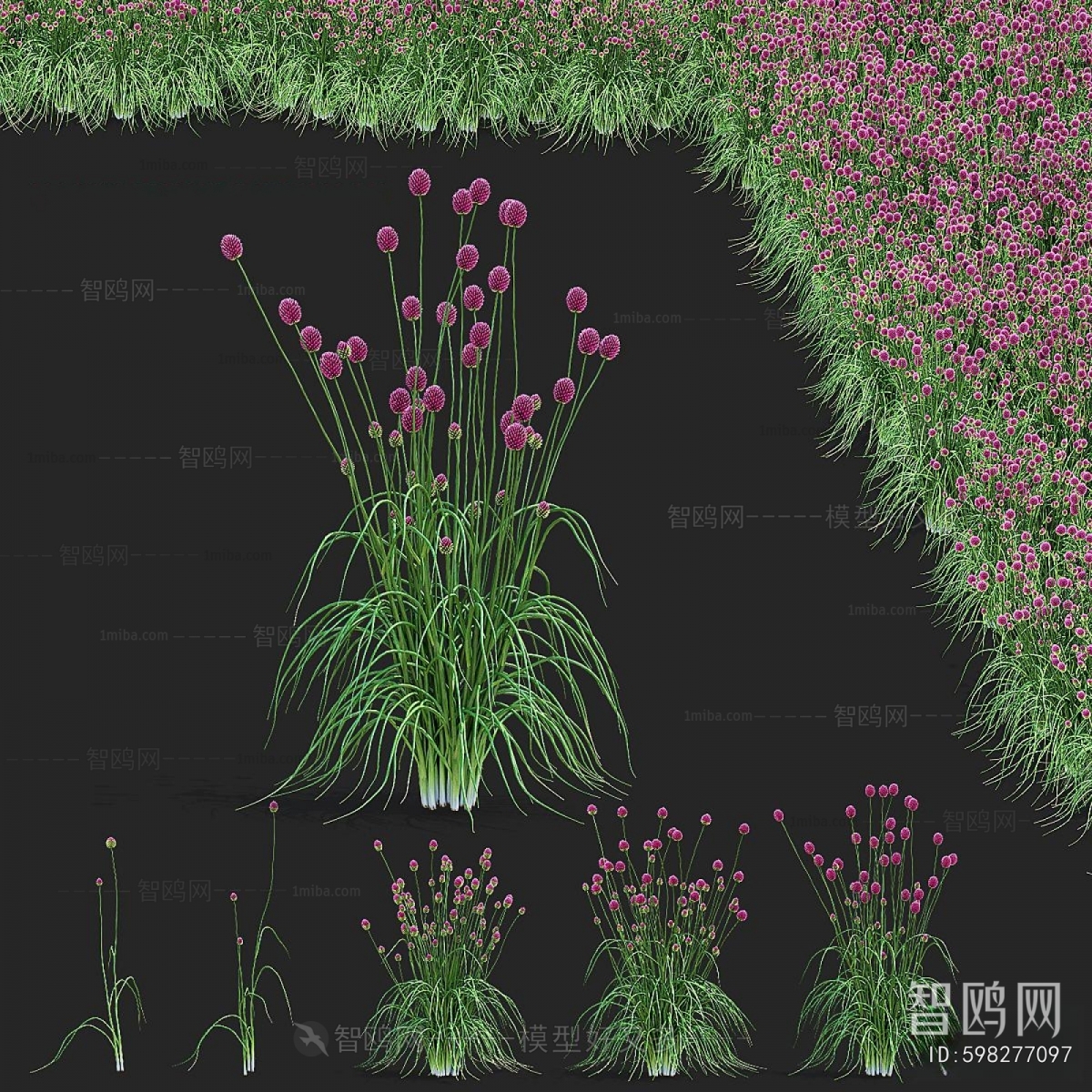 Modern Flowers And Grass